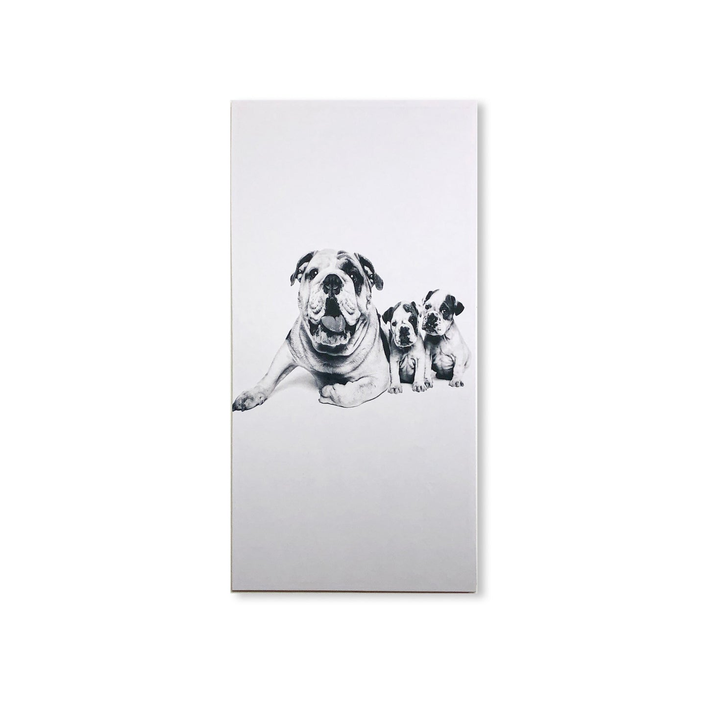 Custom Acoustic Panels