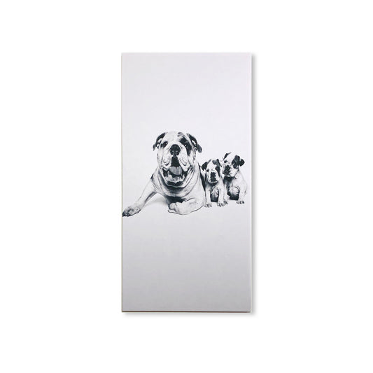 Custom Acoustic Panels